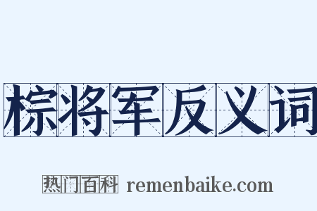 棕将军反义词是什么意思的图片